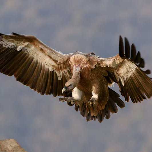 免费ddos压力测试平台